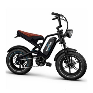KOOLUX   X9   MINI  Electric   Bike with 48V   13AH   16*4.0   Inch   Lithium-ion   Battery