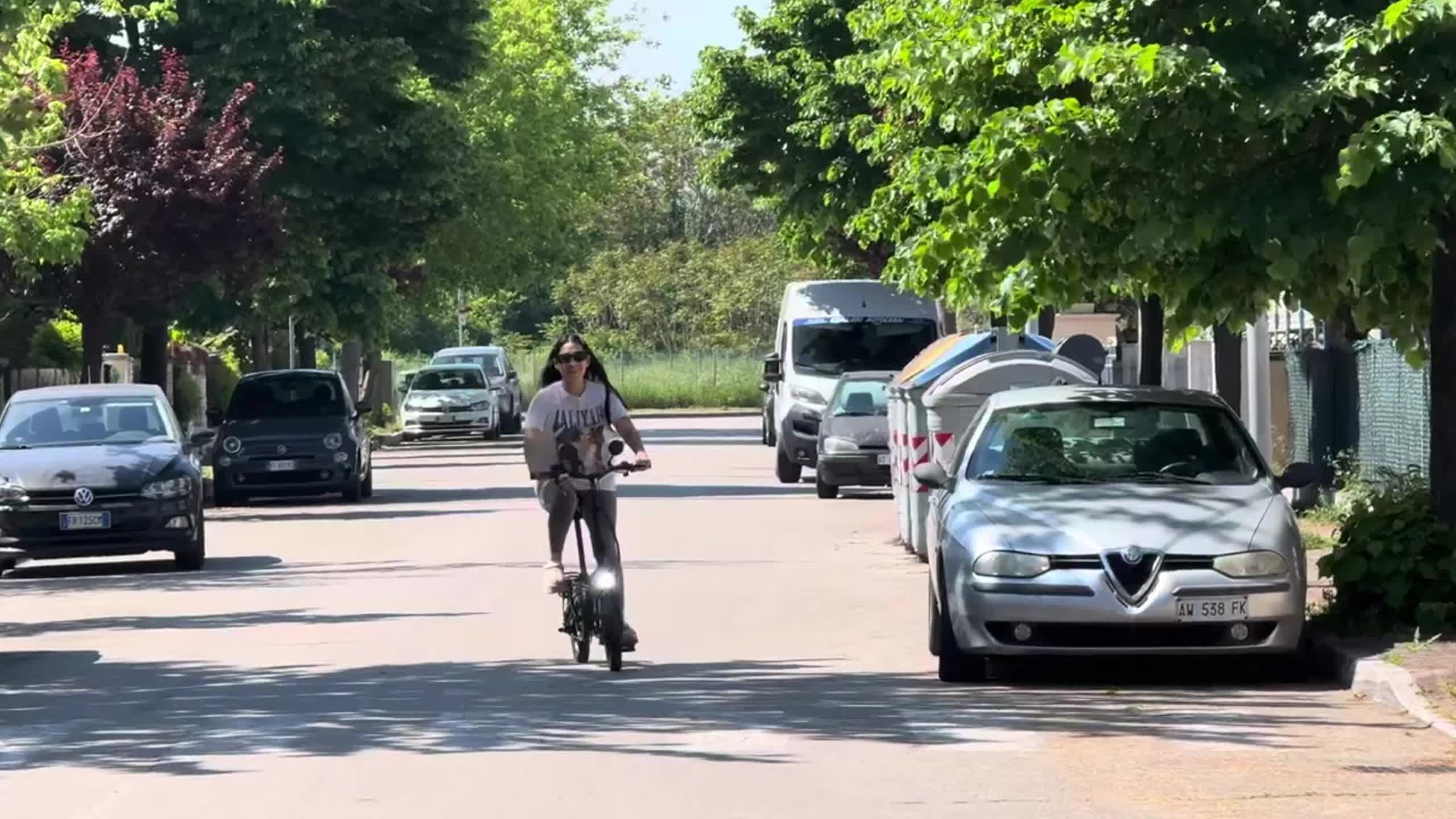 Adult And Youth Foldable Electric Bike,