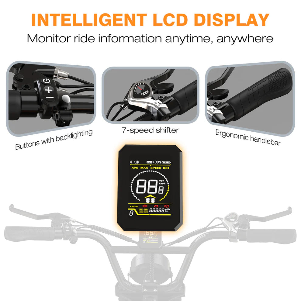Puncture Resistant  Dual Battery Electric Bike