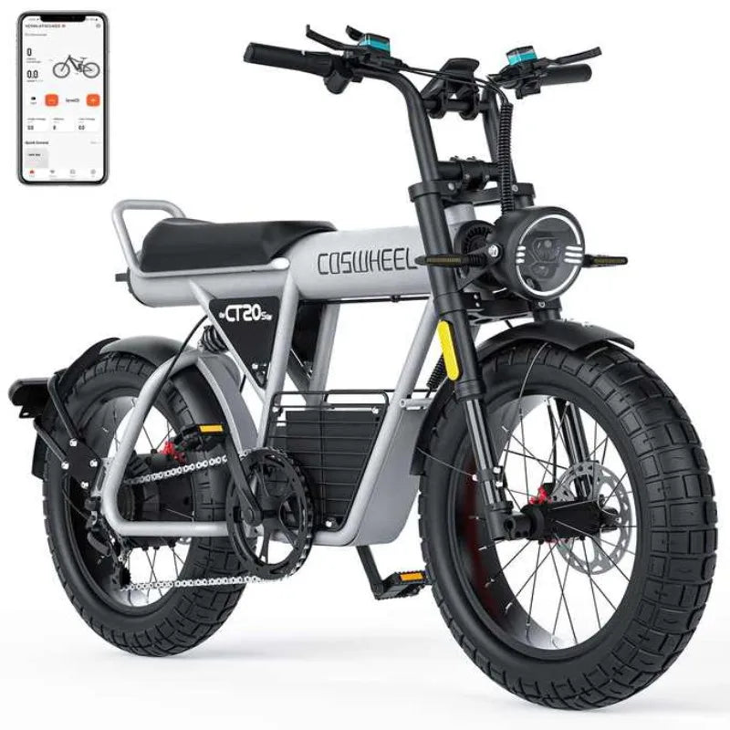 Compact Premium 20 inch Fat Tire E-Bike