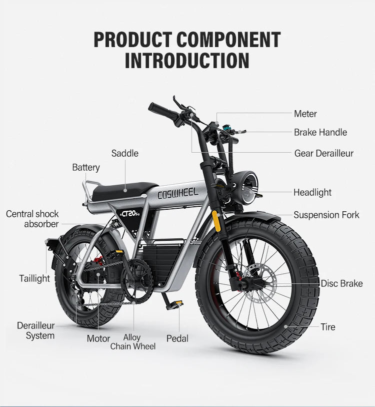 Compact Premium 20 inch Fat Tire E-Bike