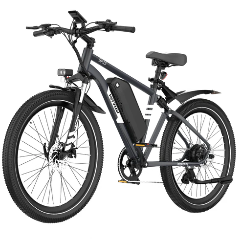 Powerful Dual Suspension System E-Bike
