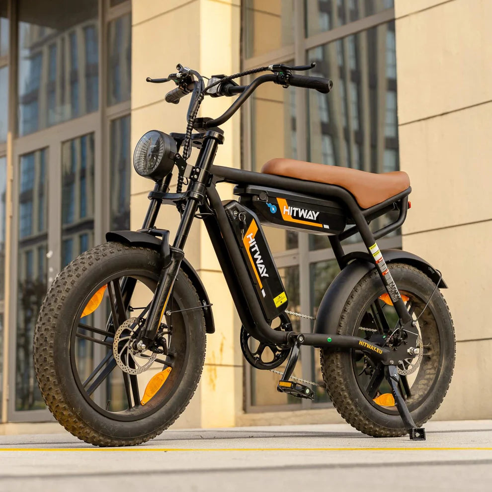 Puncture Resistant  Dual Battery Electric Bike