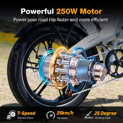 Fat Tire and Suspension Fork Folding Electric Bike