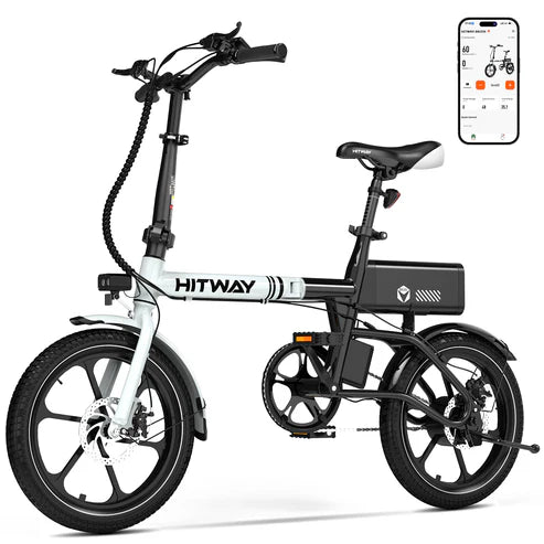 Lightweight Portable Folding Electric Bike