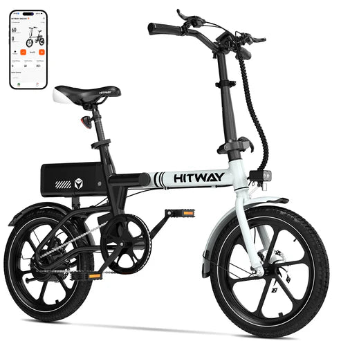 Lightweight Portable Folding Electric Bike