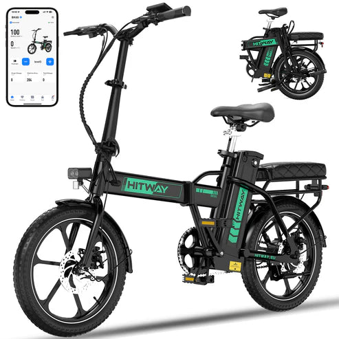 Powerful Motor, Smooth Ride Folding Electric Bike