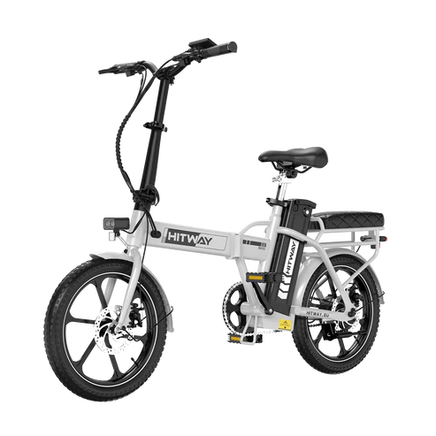 Powerful Motor, Smooth Ride Folding Electric Bike