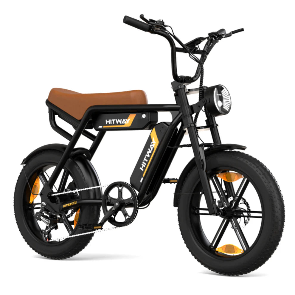 Puncture Resistant  Dual Battery Electric Bike