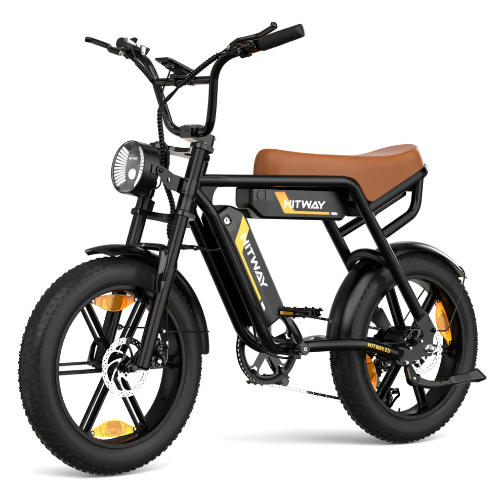 Puncture Resistant  Dual Battery Electric Bike
