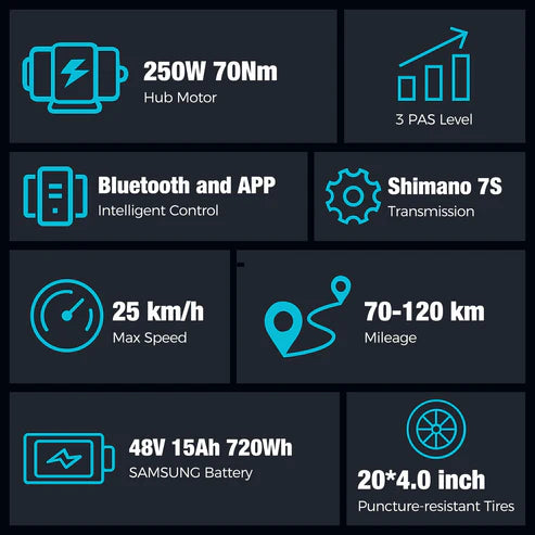 Powerful Motor Folding Electric Bike