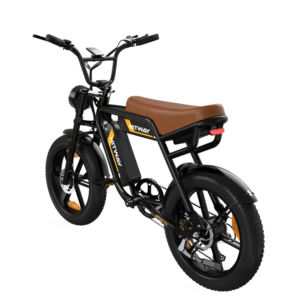 Puncture Resistant  Dual Battery Electric Bike