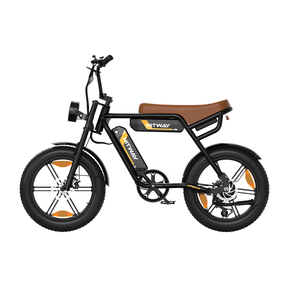 Puncture Resistant  Dual Battery Electric Bike