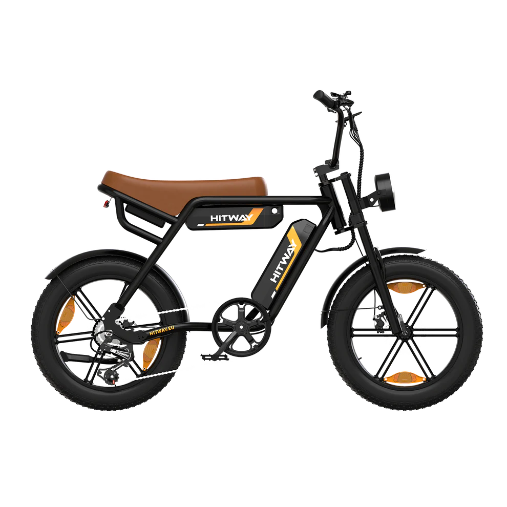 Puncture Resistant  Dual Battery Electric Bike