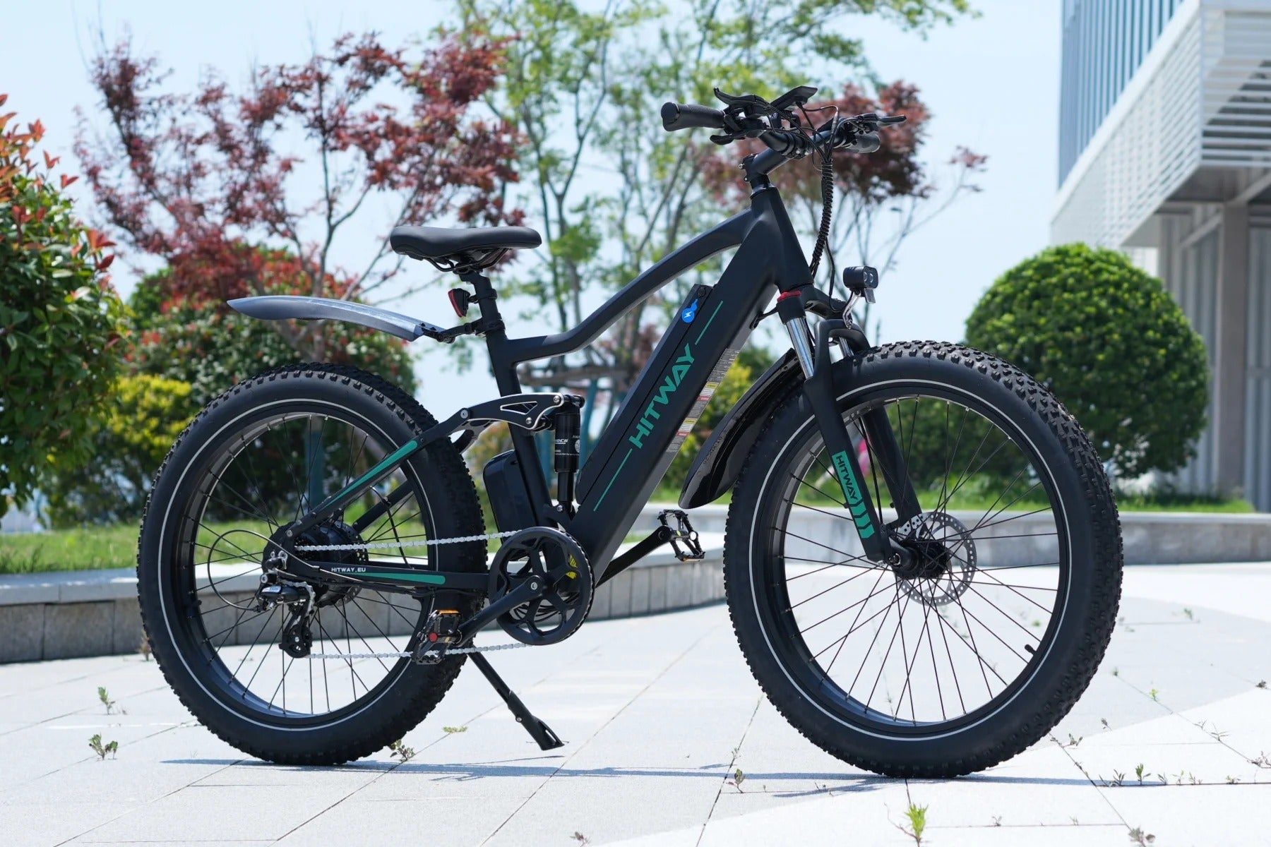 Electric Bike with APP